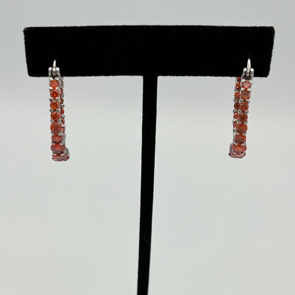 Hypoallergenic 316LSS Earrings – Warm Gemstone Glow